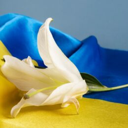 День збройних сил України: привітання та листівки