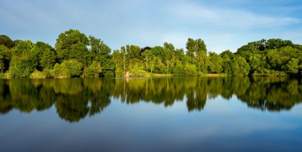 річка 10 віршів Тараса Шевченка, які варто вивчити з дітьми