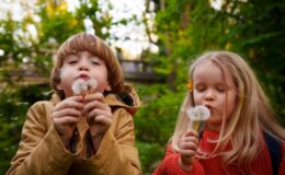 5 лучших мультфильмов об экологии, которые нужно посмотреть детям и взрослым