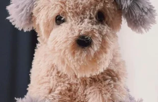 В Україні презентували незвичайну іграшку – цуценя без лапки