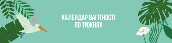 Календар вагітності