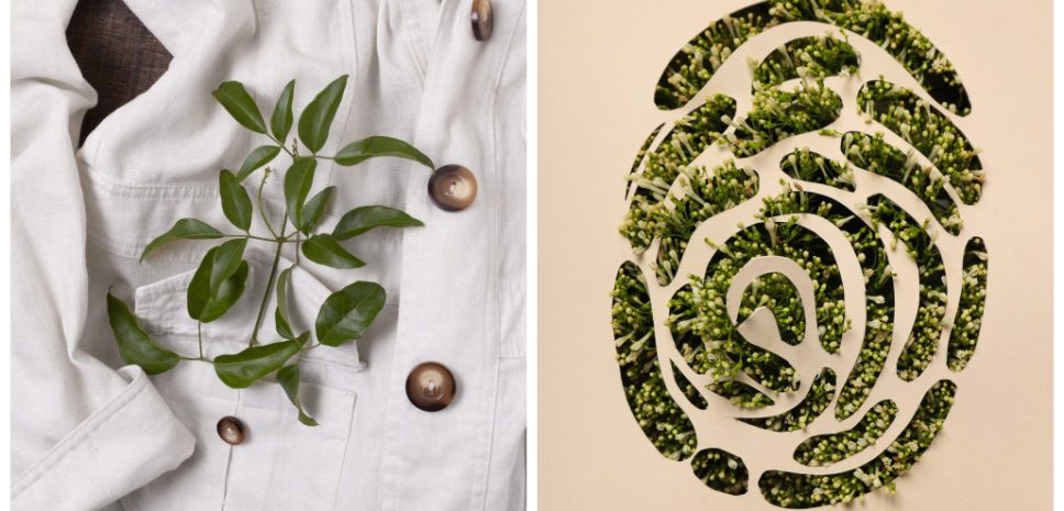 Sustainability Beauty and Fashion Award 2025 від Marie Claire Ukraine оголошує старт голосування в номінації “Суспільний вибір” 