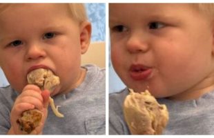 Що їсть син Володимира Остапчука — “випадково народила депутата”