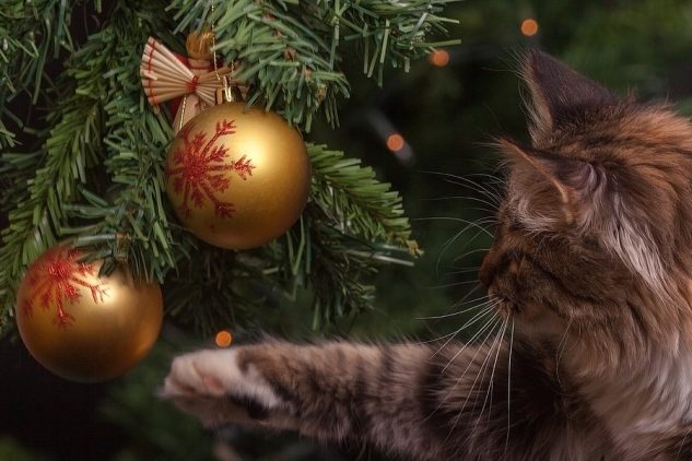 Ялинка з прикрасами