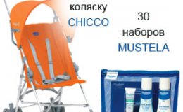 Названы победители конкурса «Смешарики»
