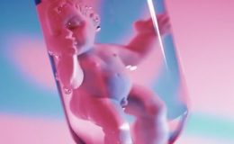 Зачатие ребенка тремя родителями – реальность 2015 года
